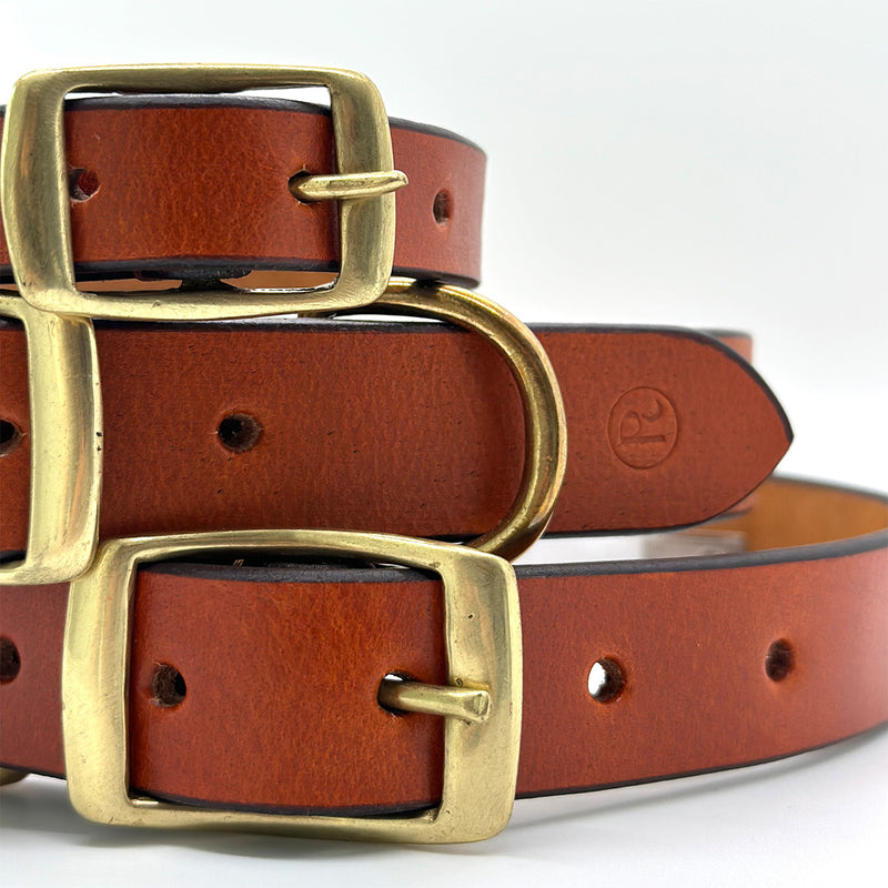 Amara Tan leather collar for pets