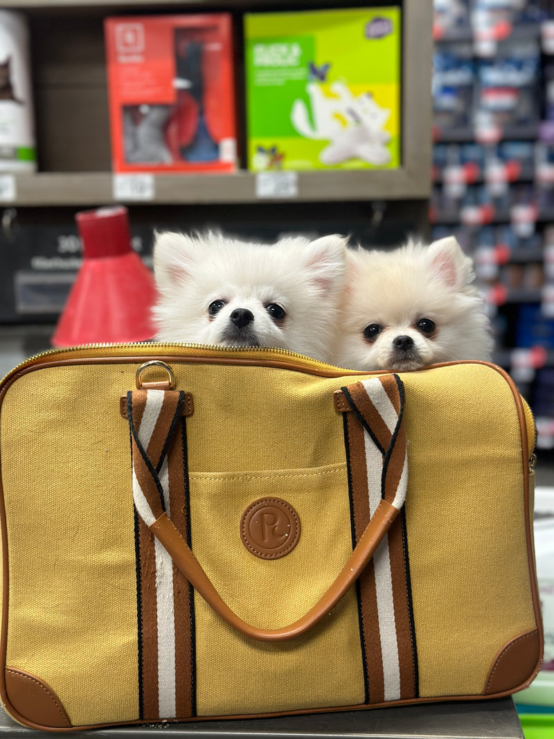 The Madeleine Bag - Yellow Dog Carrier
