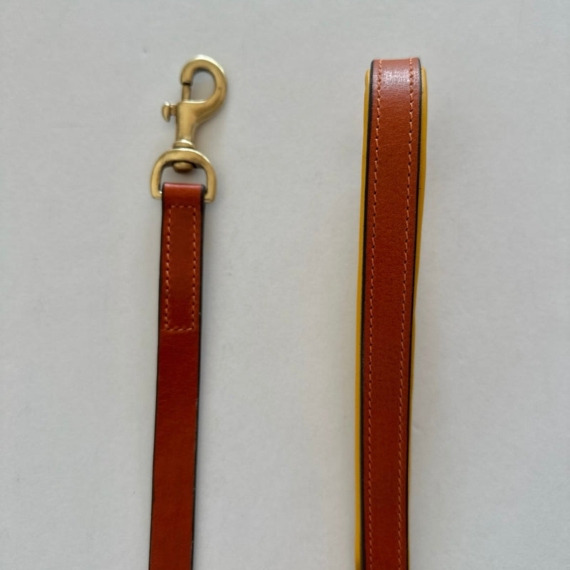 Madeleine Leather Leash