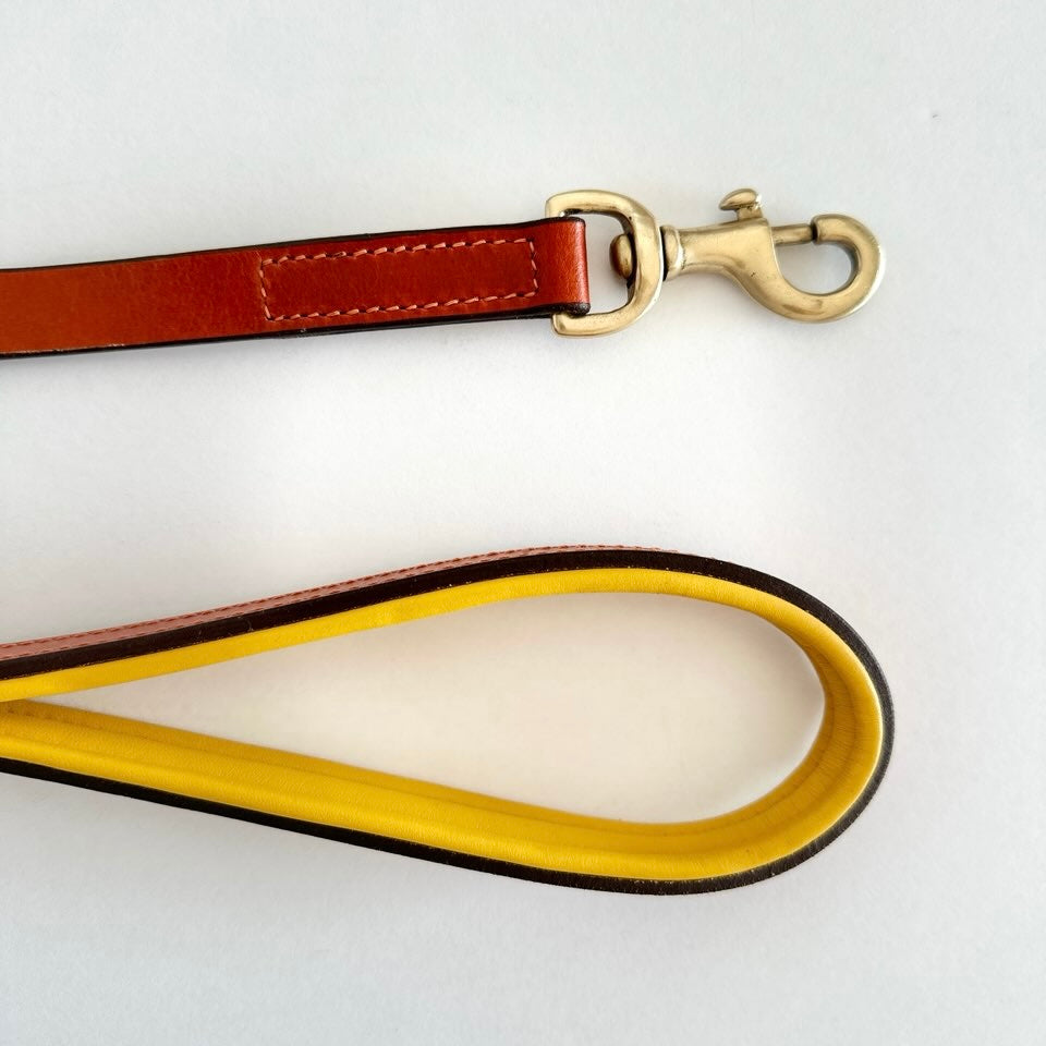 Madeleine Leather Leash